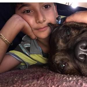 Meet your Posher, Ivan